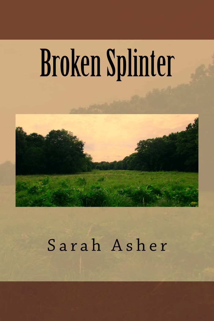Cover of Broken Splinter by Sarah Asher