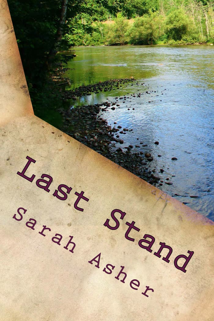 Cover of Last Stand by Sarah Asher